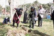 کاشت نهال و تقدیر از کارکنان شاغل در بخش باغبانی دانشکده پرستاری و مامایی به مناسبت روز درختکاری